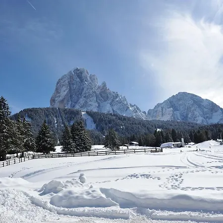 Cesa Pana Mountain Appartamento *
