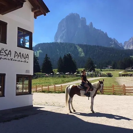 Appartamento Cesa Pana Mountain *